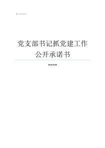 党支部书记抓党建工作公开承诺书党支部书记抓党建工作存在的不足