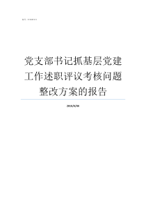 党支部书记抓基层党建工作述职评议考核问题整改方案的报告党组织书记抓党建工作