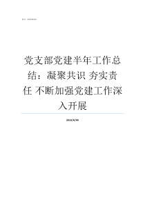 党支部党建半年工作总结凝聚共识nbsp夯实责任nbsp不断加强党建工作深入开展党支部如何开展工作