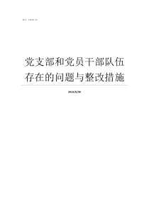 党支部和党员干部队伍存在的问题与整改措施