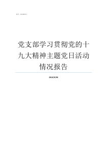 党支部学习贯彻党的十九大精神主题党日活动情况报告