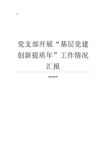 党支部开展基层党建创新提质年工作情况汇报