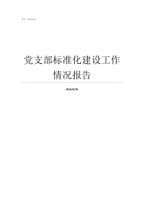 党支部标准化建设工作情况报告党支部标准化心得体会