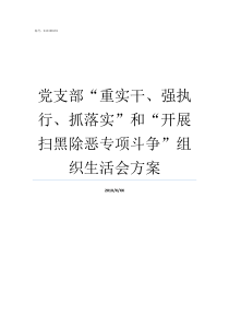 党支部重实干强执行抓落实和开展扫黑除恶专项斗争组织生活会方案五强党支部