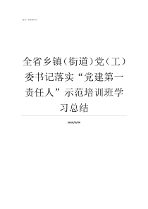 全省乡镇街道党工委书记落实党建第一责任人示范培训班学习总结