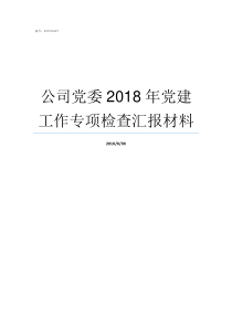 公司党委2018年党建工作专项检查汇报材料2018年支部委员会记录