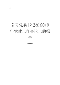 公司党委书记在2019年党建工作会议上的报告党委书记