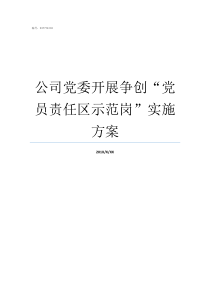公司党委开展争创党员责任区示范岗实施方案党委