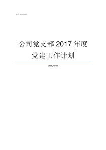 公司党支部2017年度党建工作计划