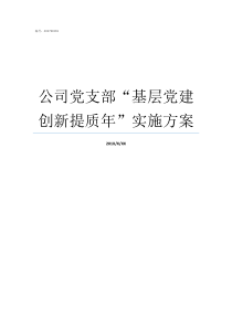 公司党支部基层党建创新提质年实施方案基层党支部党建工作