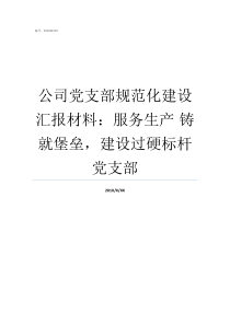 公司党支部规范化建设汇报材料服务生产nbsp铸就堡垒建设过硬标杆党支部党支部规范化建设五个基本