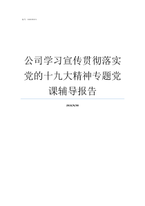 公司学习宣传贯彻落实党的十九大精神专题党课辅导报告