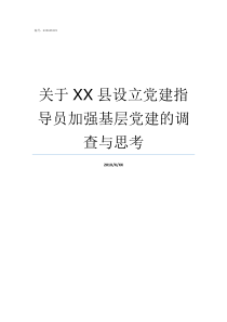 关于XX县设立党建指导员加强基层党建的调查与思考