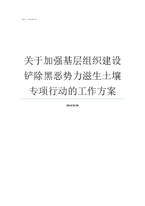 关于加强基层组织建设铲除黑恶势力滋生土壤专项行动的工作方案