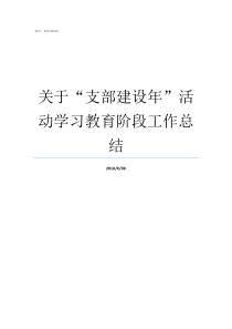 关于支部建设年活动学习教育阶段工作总结