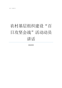 农村基层组织建设百日攻坚会战活动动员讲话加强农村基层组织建设