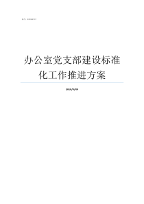 办公室党支部建设标准化工作推进方案党支部建设标准