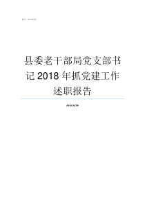 县委老干部局党支部书记2018年抓党建工作述职报告