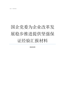 国企党委为企业改革发展稳步推进提供坚强保证经验汇报材料