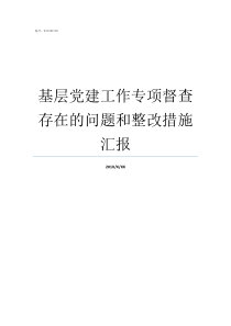 基层党建工作专项督查存在的问题和整改措施汇报如何督查基层党建工作