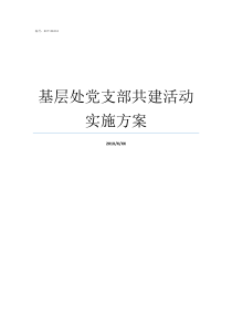 基层处党支部共建活动实施方案机关党支部与基层党支部共建