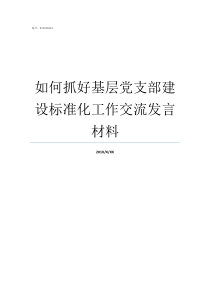 如何抓好基层党支部建设标准化工作交流发言材料如何抓好基层党支部班子建设