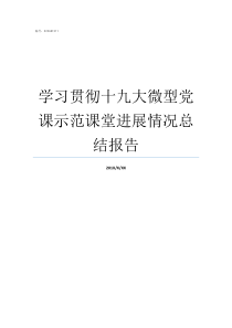 学习贯彻十九大微型党课示范课堂进展情况总结报告