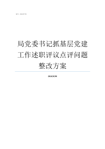 局党委书记抓基层党建工作述职评议点评问题整改方案党委书记抓基层述党建