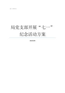 局党支部开展七一纪念活动方案基层党支部开展七一活动