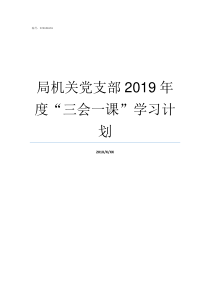 局机关党支部2019年度三会一课学习计划2019年党支部上半年工作总结