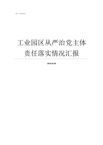 工业园区从严治党主体责任落实情况汇报从严治党