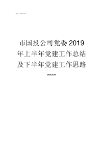 市国投公司党委2019年上半年党建工作总结及下半年党建工作思路市国投公司待遇