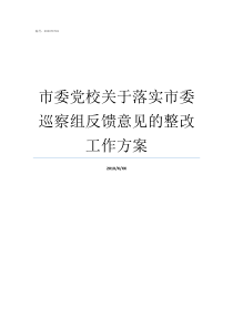 市委党校关于落实市委巡察组反馈意见的整改工作方案贯彻落实中央省委市委