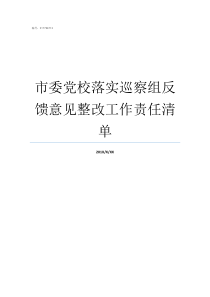 市委党校落实巡察组反馈意见整改工作责任清单落实巡察整改