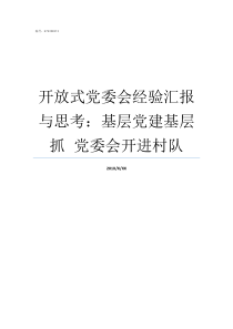 开放式党委会经验汇报与思考基层党建基层抓nbspnbsp党委会开进村队党委汇报