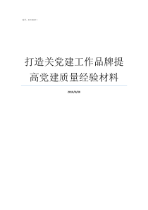 打造关党建工作品牌提高党建质量经验材料怎样打造党建工作亮点