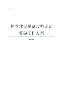 抓党建促脱贫攻坚调研督导工作方案看抓党建促脱贫攻坚