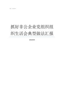 抓好非公企业党组织组织生活会典型做法汇报优秀党组织