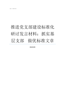 推进党支部建设标准化研讨发言材料抓实基层支部nbspnbspnbsp做优标准文章党支部标准化建设班子