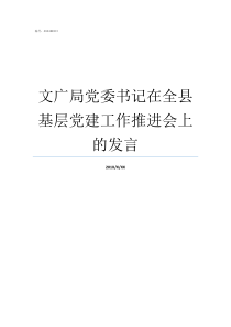 文广局党委书记在全县基层党建工作推进会上的发言