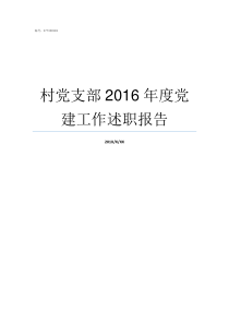 村党支部2016年度党建工作述职报告