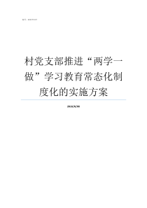 村党支部推进两学一做学习教育常态化制度化的实施方案党的两学一做是什么