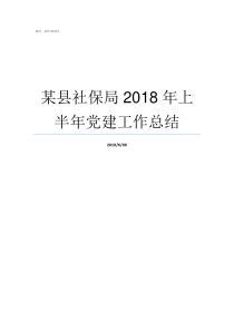 某县社保局2018年上半年党建工作总结