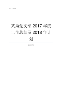 某局党支部2017年度工作总结及2018年计划2017年党支部大会记录