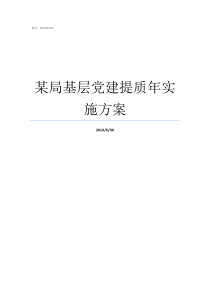 某局基层党建提质年实施方案基层党建