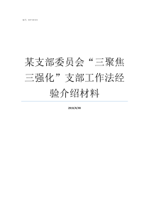 某支部委员会三聚焦三强化支部工作法经验介绍材料支部委员