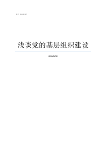 浅谈党的基层组织建设什么是基层党组织建设