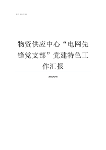 物资供应中心电网先锋党支部党建特色工作汇报