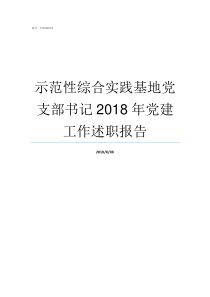 示范性综合实践基地党支部书记2018年党建工作述职报告示范性综合实践基地怎么样