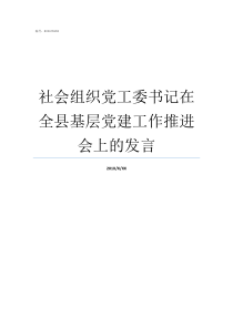 社会组织党工委书记在全县基层党建工作推进会上的发言